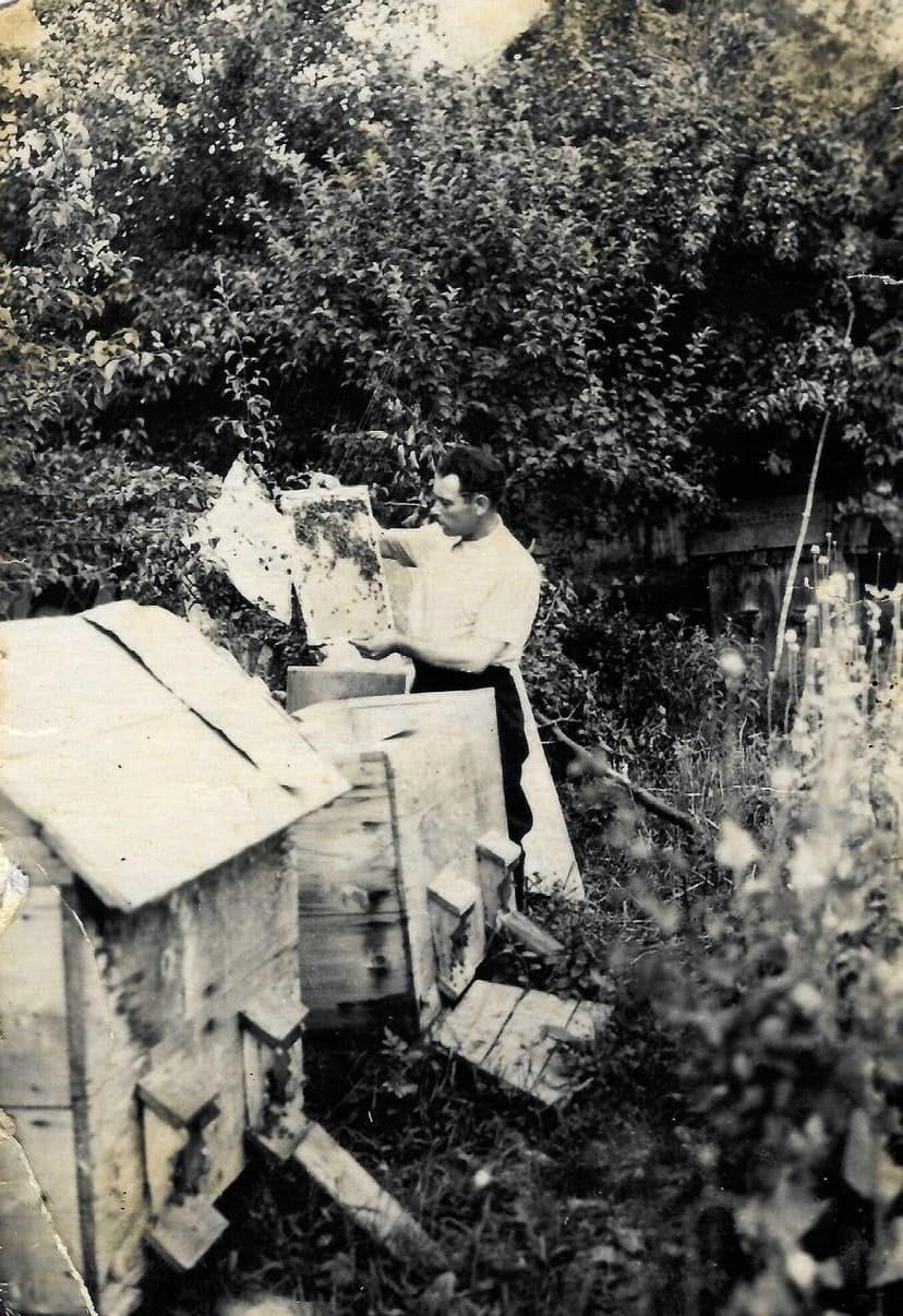 Родинна пасіка Медової Спадщини